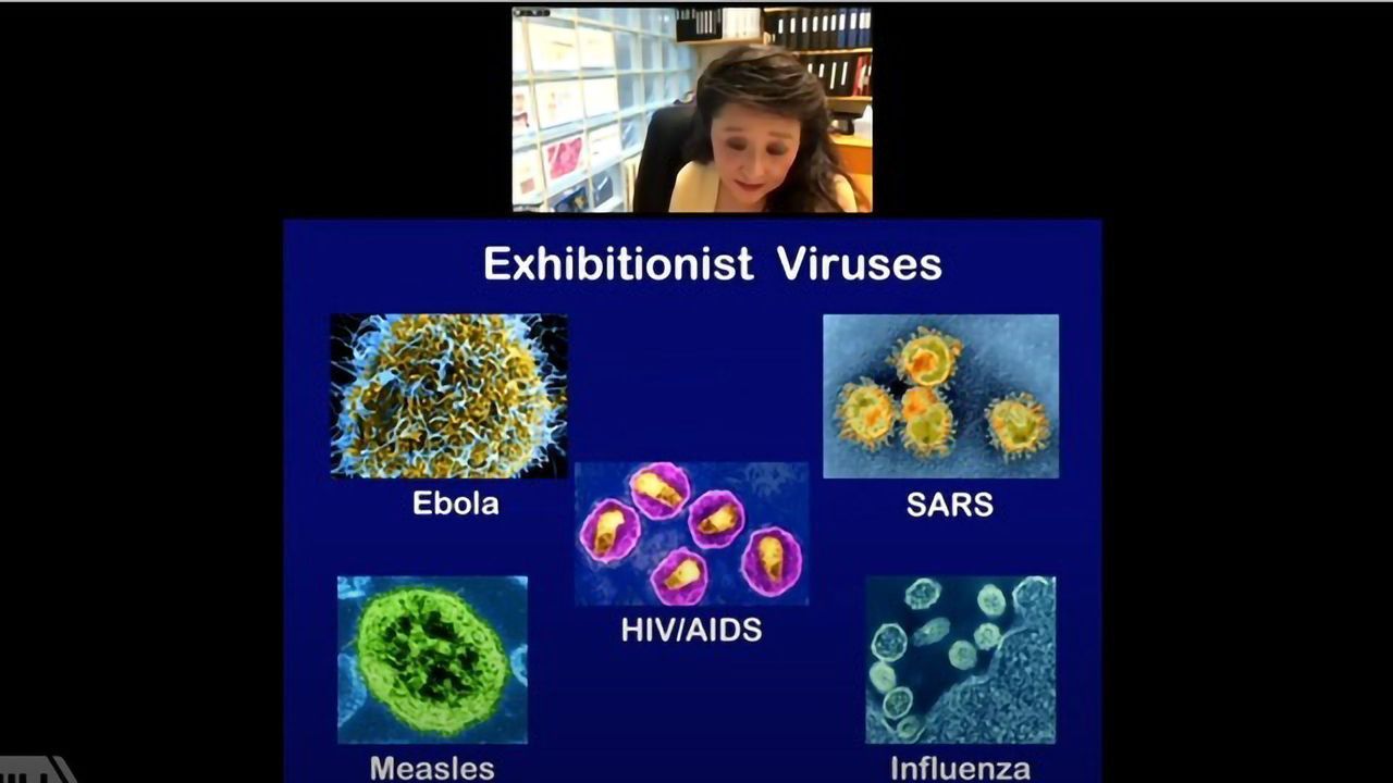 Human Oncogenic Viruses: Nature, Discovery and Running Around in Circles