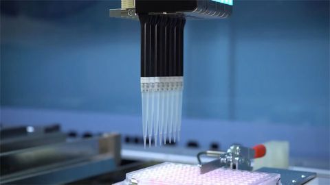 InSphero and Hamilton Announce Collaboration To Improve the Production and Handling of Spheroids
