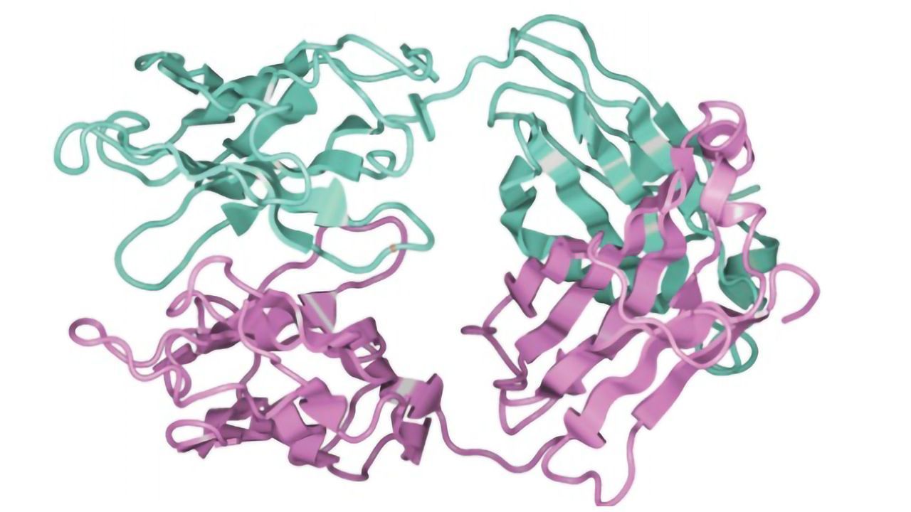 From Target to Molecule – A Comprehensive Guide to Antibody Discovery and Development