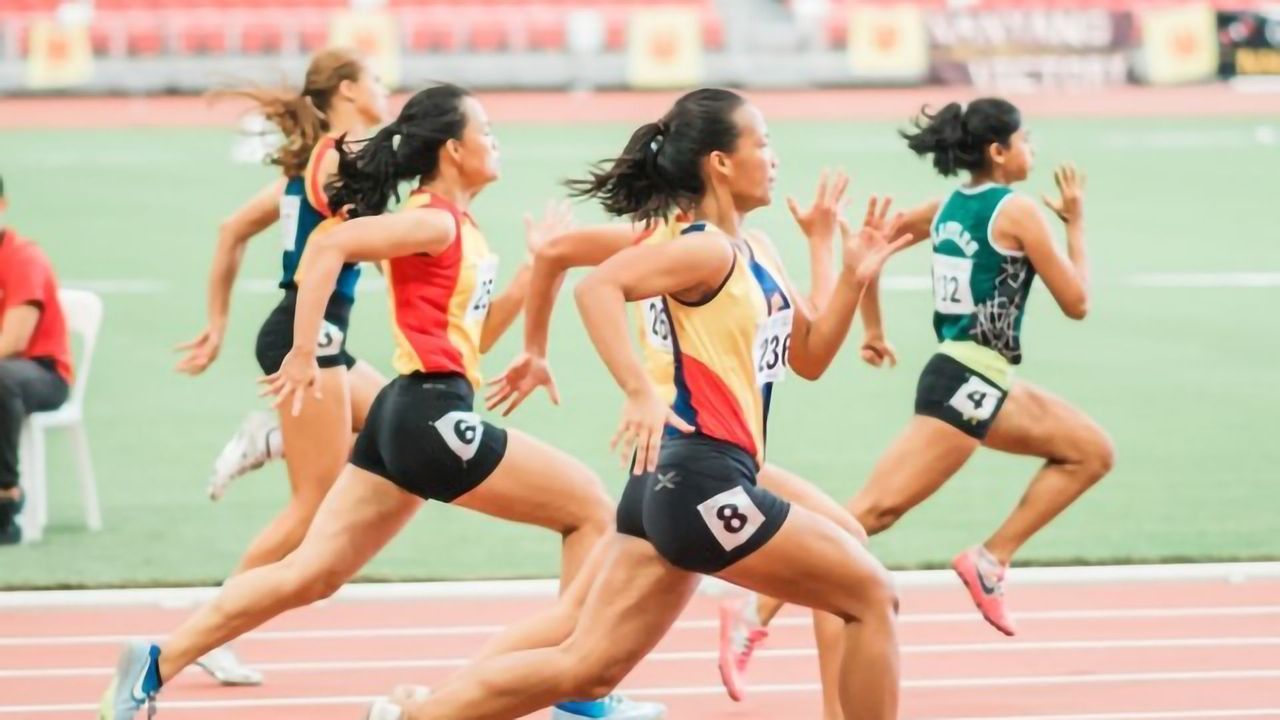 How Tendons Become Stiffer and Stronger