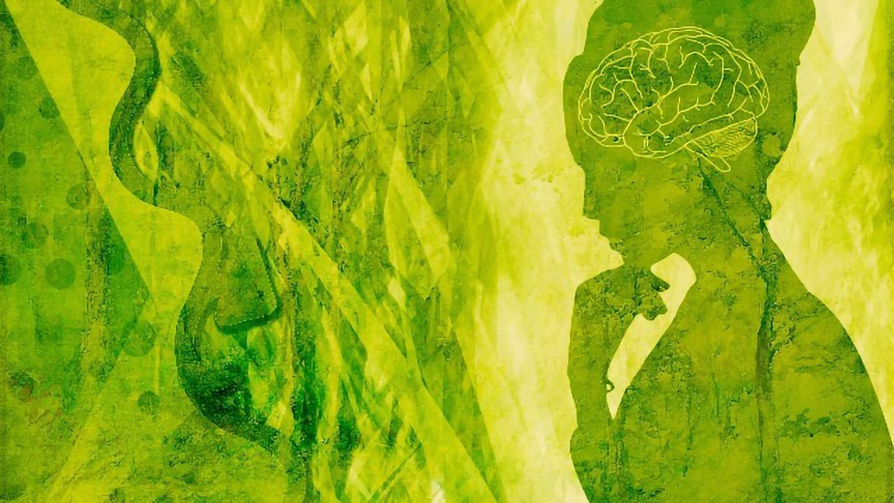Non-Hallucinogenic Psychedelic Analogs Could Be Game Changers for Neuropsychiatry