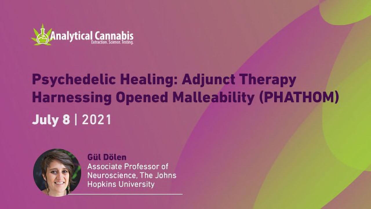Psychedelic Healing: Adjunct Therapy Harnessing Opened Malleability (PHATHOM)