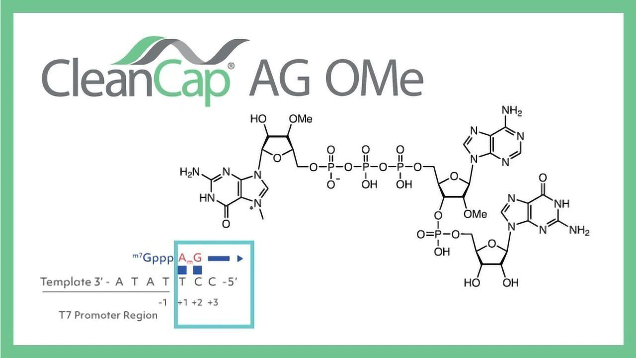 CleanCap® AG (3' OMe) Reagent: Next-Generation mRNA Capping Technology