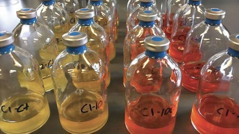 Good Bacteria Can Clean Up Chemotherapy Toxins in the Body