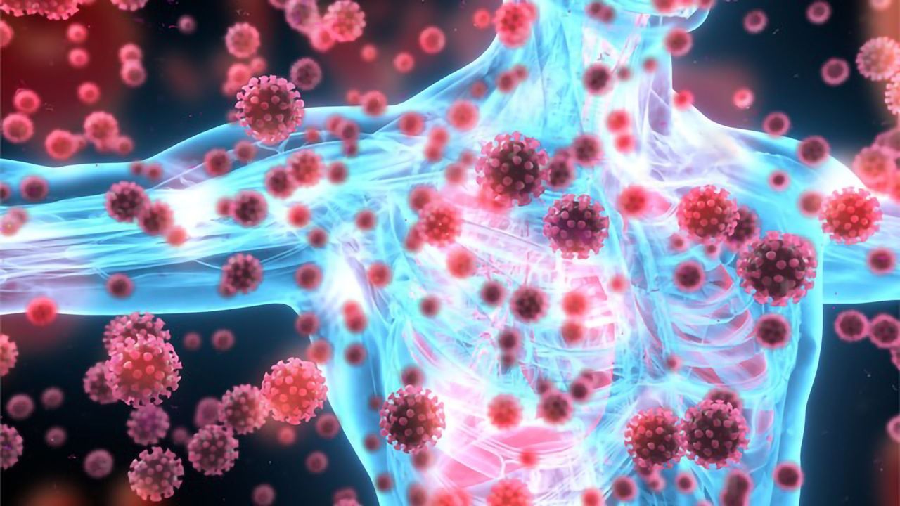 Immune Response in COVID-19: Pathophysiology Mechanisms to Therapeutics