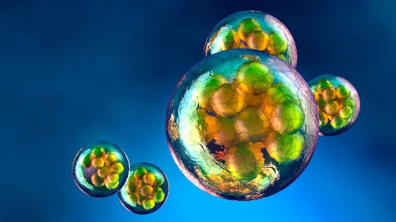 Early Steps in Gene Expression Captured in Real Time