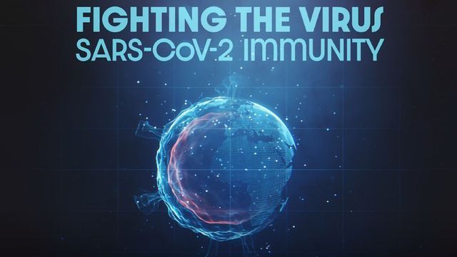 Fighting the Virus: SARS-CoV-2 Immunity | Technology Networks