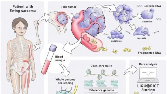 Blood Test Detects Childhood Tumors Based on Their Epigenetic Profile content piece image 