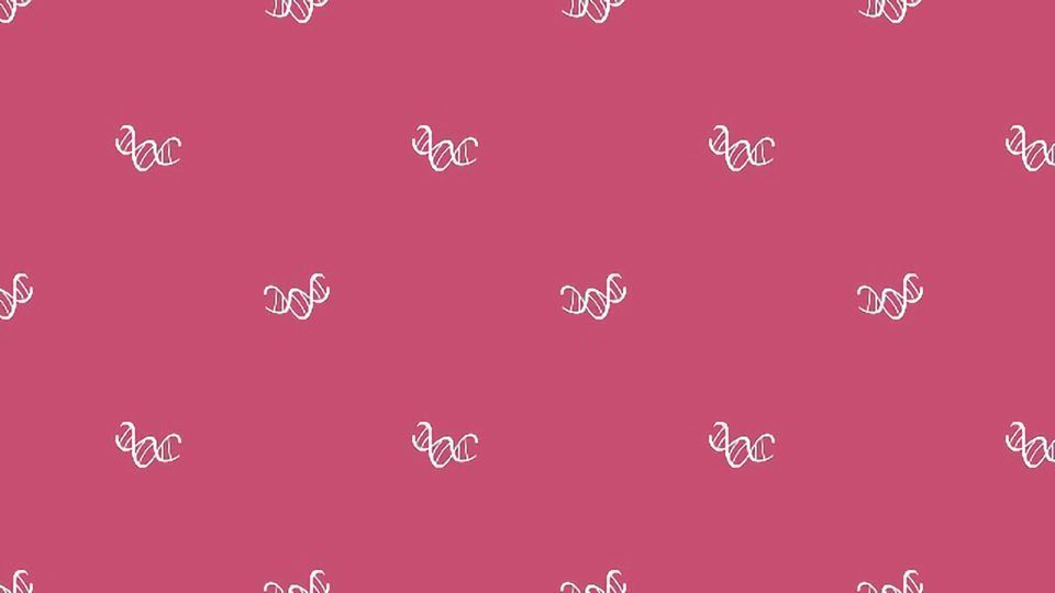 New Classification System for Cell Nuclei Unveiled content piece image