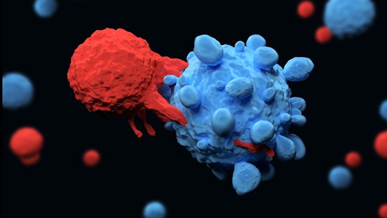 New Macrophage-Based Immunotherapy Could Treat a Broad Spectrum of Cancers