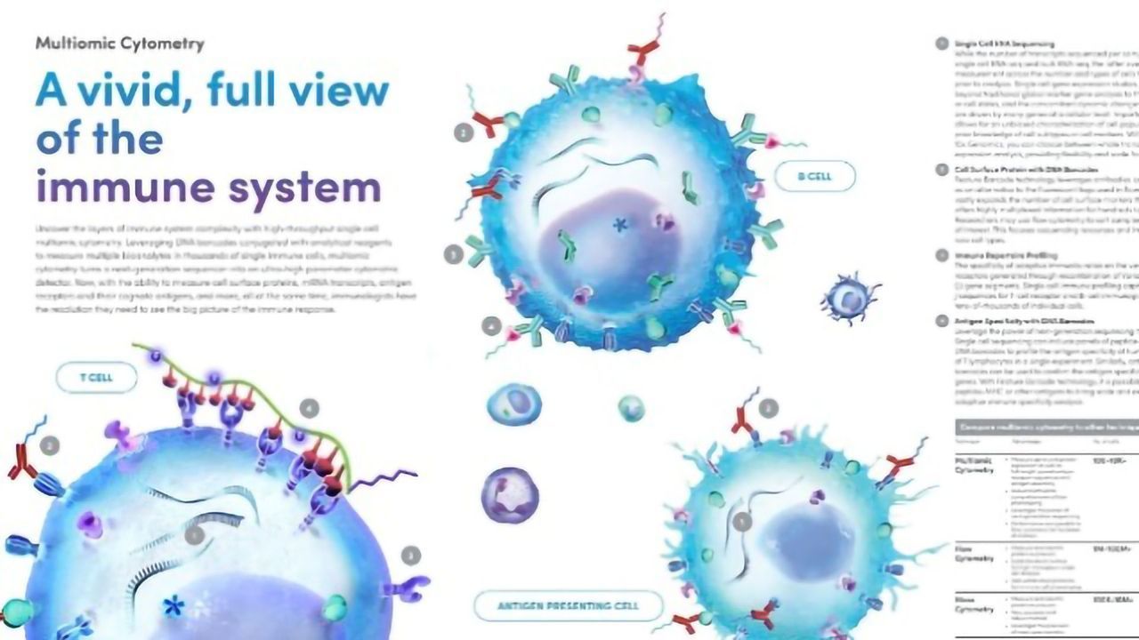 A Vivid, Full View of the Immune System