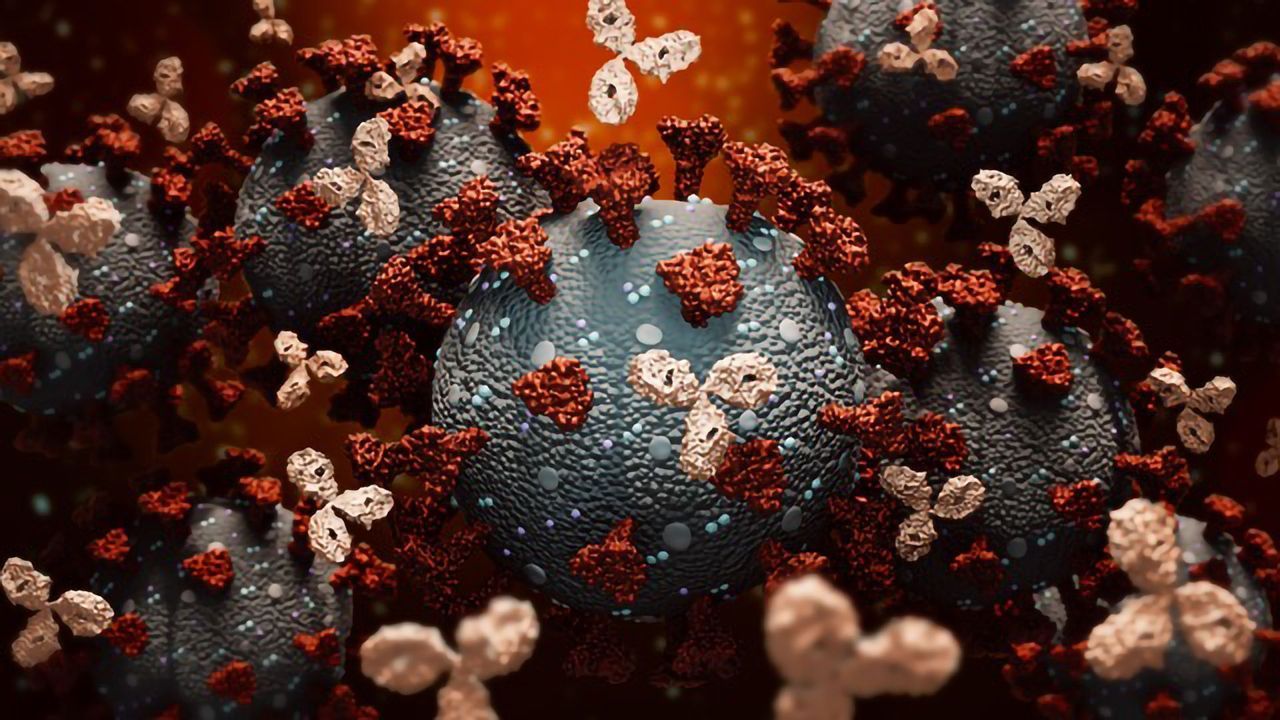 Accelerating the Commercialization of COVID-19 Neutralizing Antibodies With Plant-Based Manufacturing