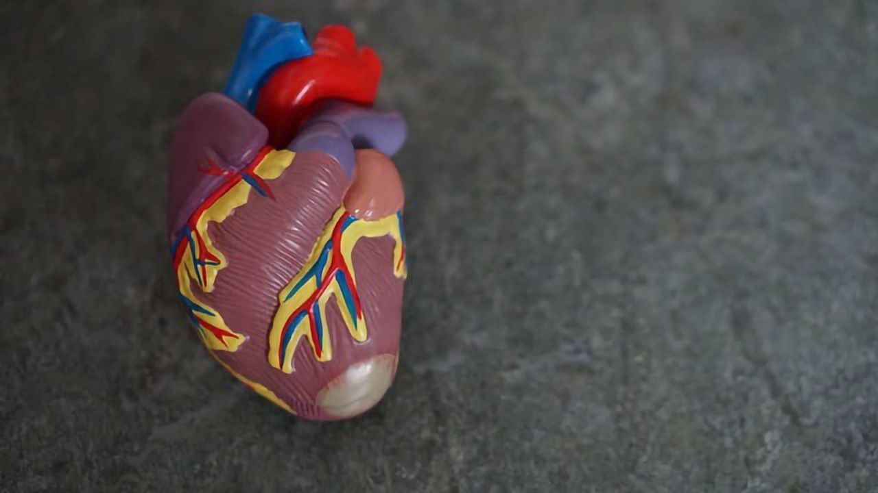 Protein Could Be Key To Improving Treatment Outcomes After a Heart Attack