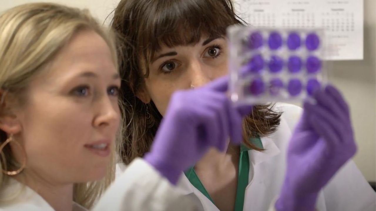 First Discovery of Zika Virus RNA in Free-Ranging African Bats
