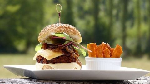 Making Plant-Based Proteins Tastier and Healthier