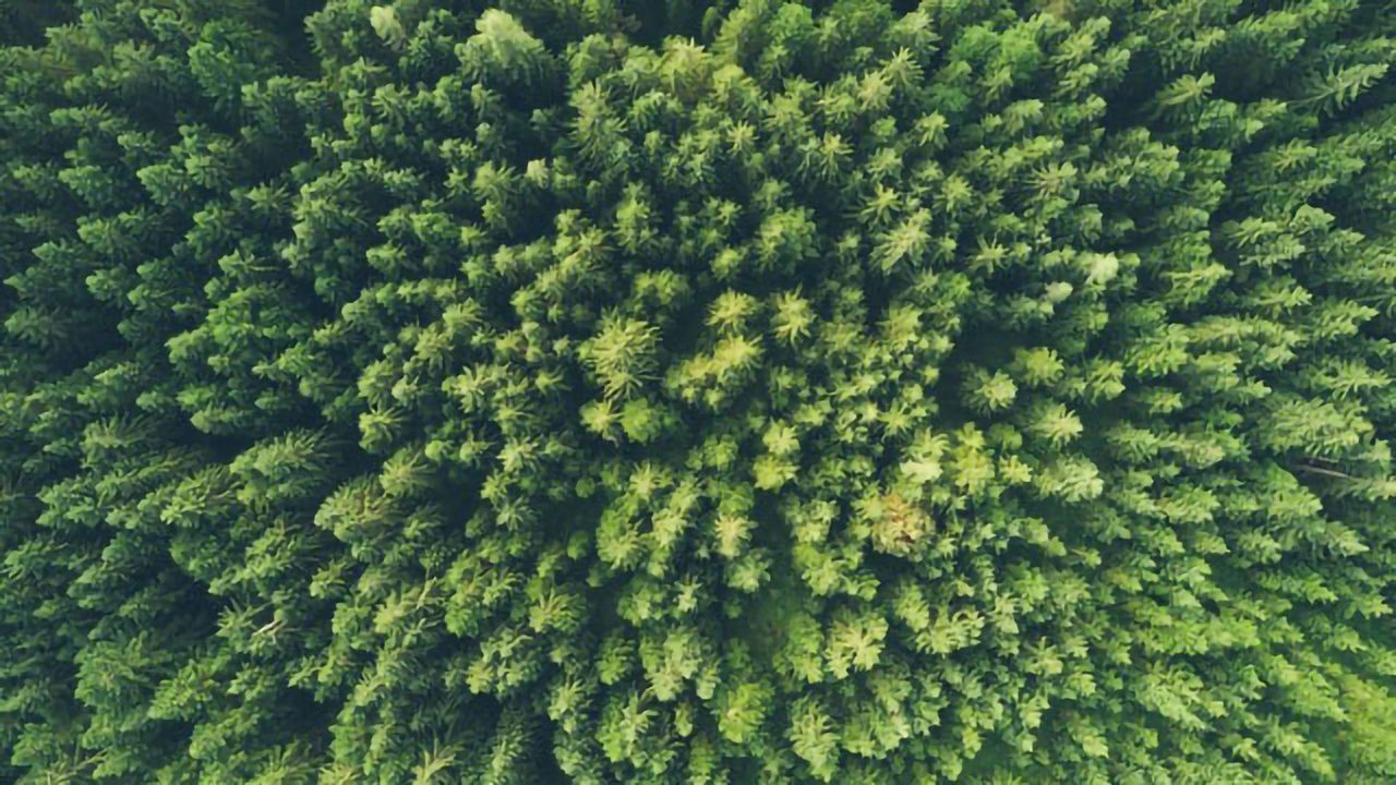 Engineering Microbes To Help the Environment
