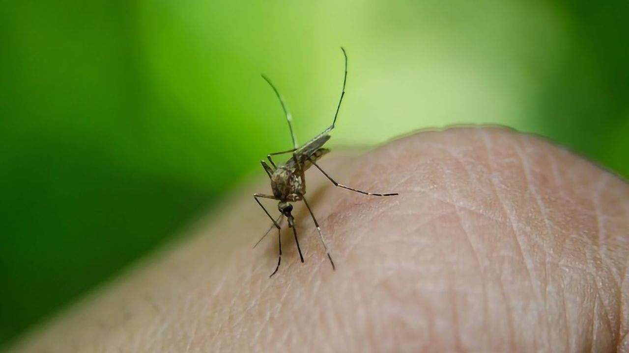 Missing Antibody Molecule May Predict Dengue Severity