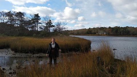 Record of Human Plastic Use Trapped in Salt Marshes