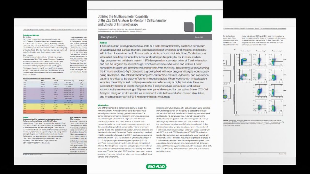 Monitoring T-Cell Exhaustion and Effects of Immunotherapy