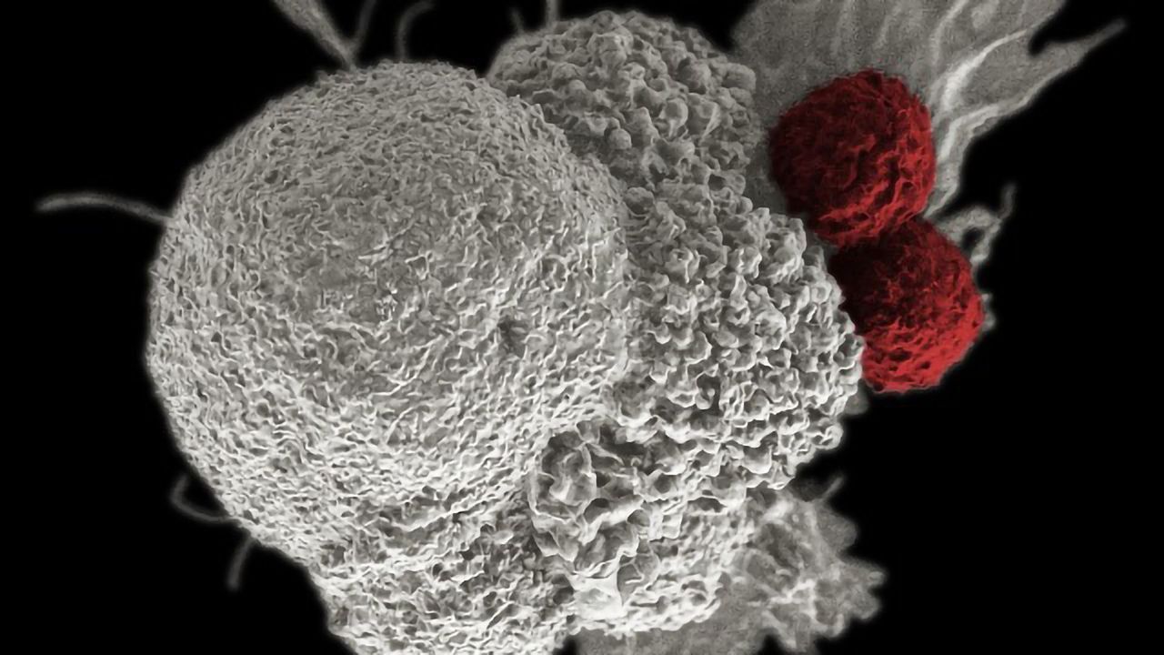 Measuring Real-Time Cell Therapy Potency With Bioelectronic Assays