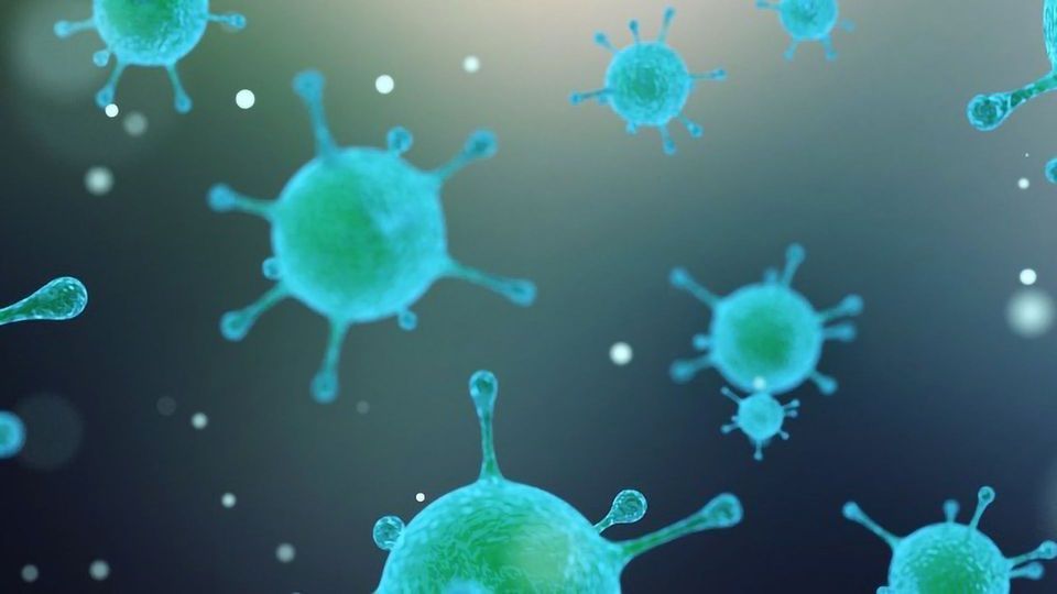 New Method for Rapid Detection of Viral Nucleic Acids Developed content piece image