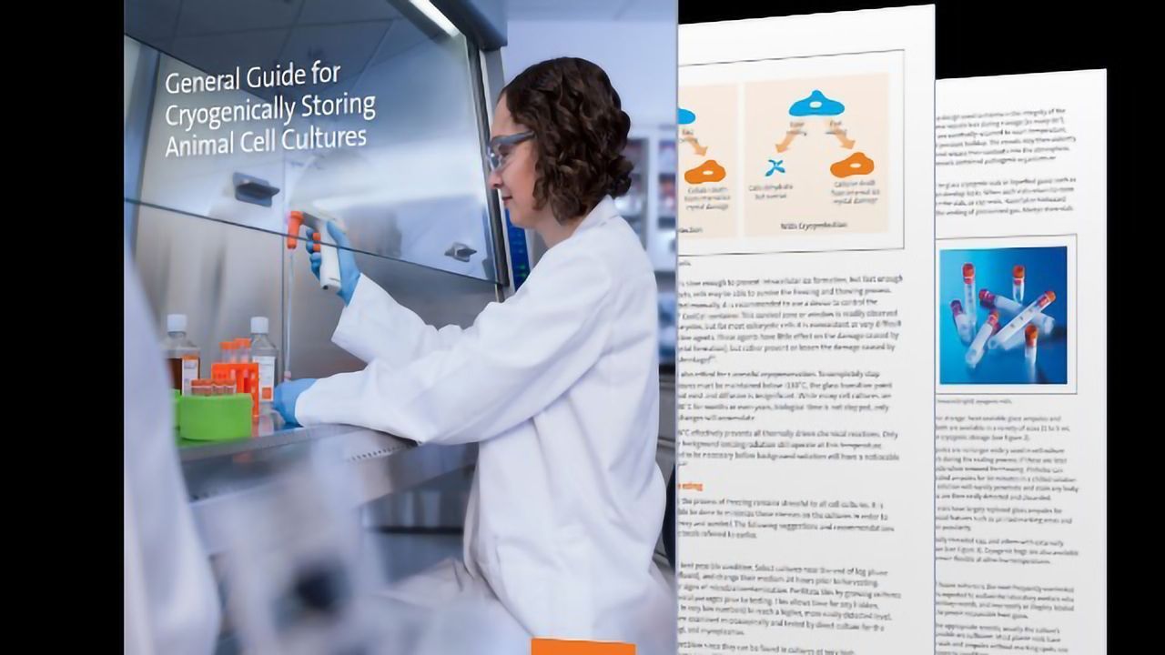 Cryogenically Storing Animal Cell Cultures