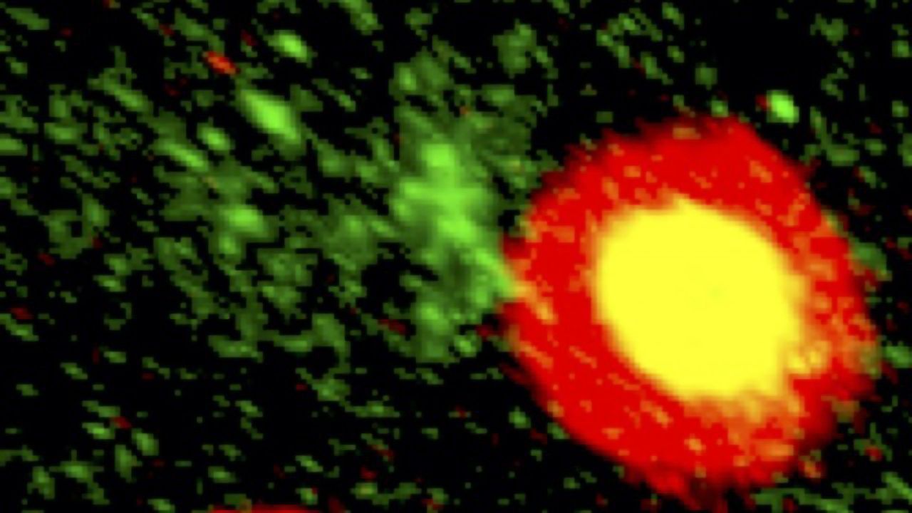 Therapeutic Potential of Mesenchymal Stromal Cells Boosted by Microgel