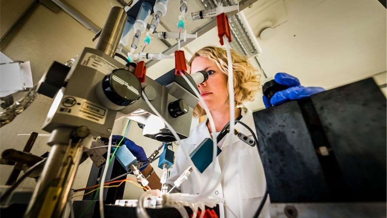 Molecules With Antiseizure Effects Discovered