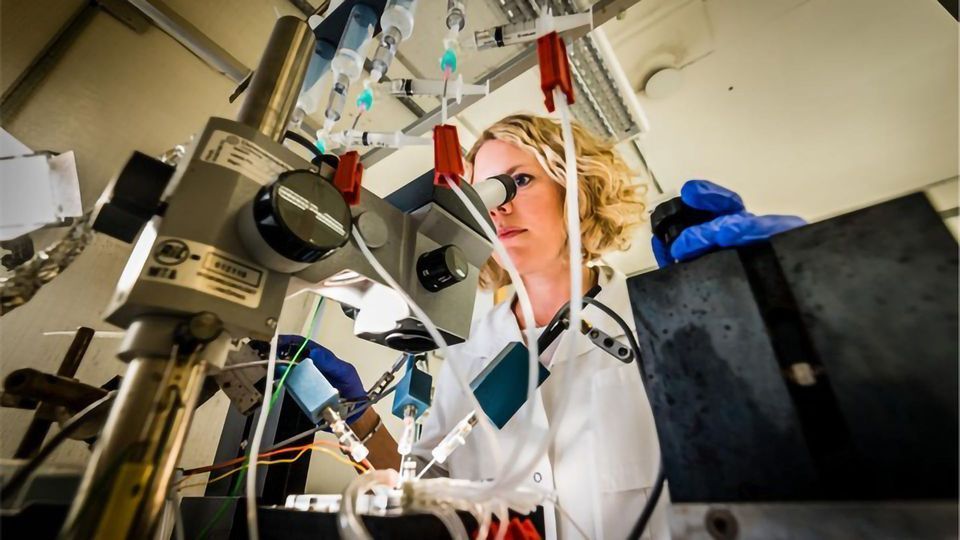 Molecules With Antiseizure Effects Discovered content piece image