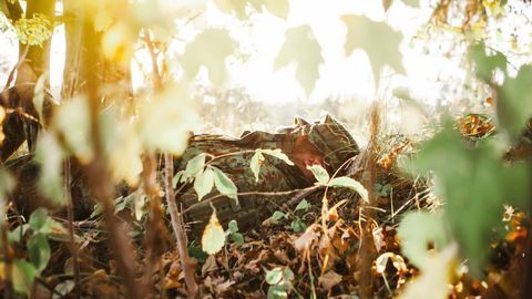 How Expert "Camouflage Breakers" Identify Hidden Targets in Less Than a Second
