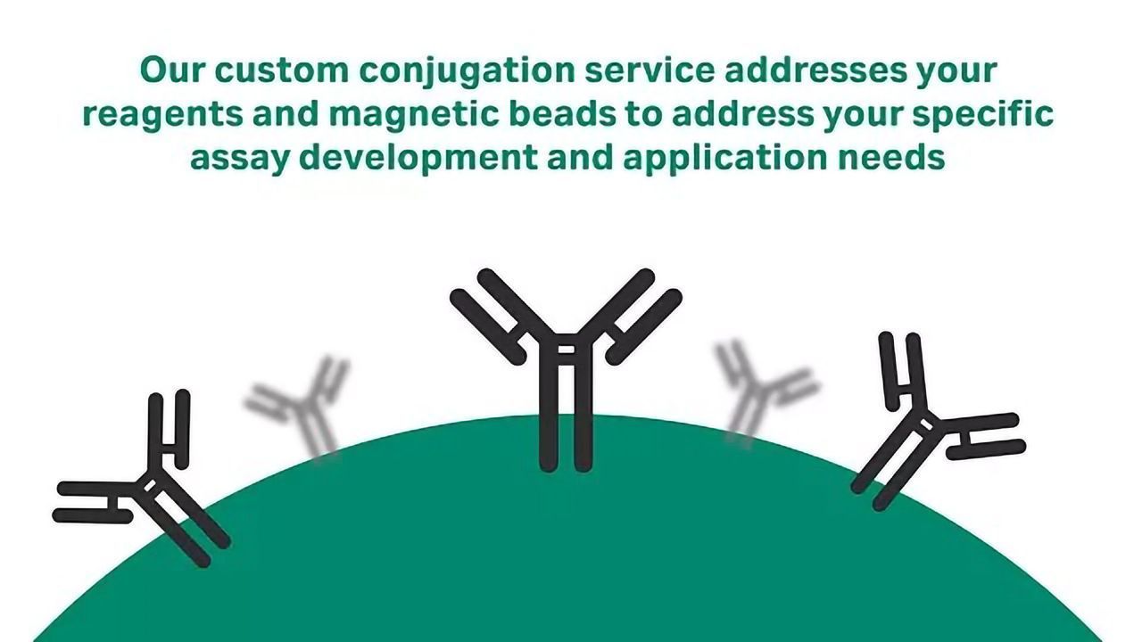 Reagent and Magnetic Bead Conjugation Services