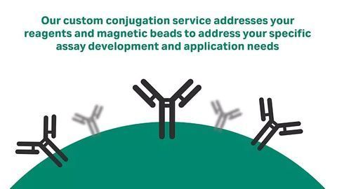 Reagent and Magnetic Bead Conjugation Services