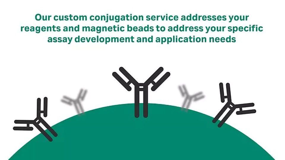 Reagent and Magnetic Bead Conjugation Services content piece image