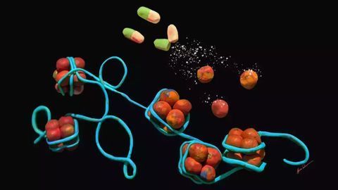 Anti-Aging Drug Candidate Rapamycin Alters How DNA Is Stored