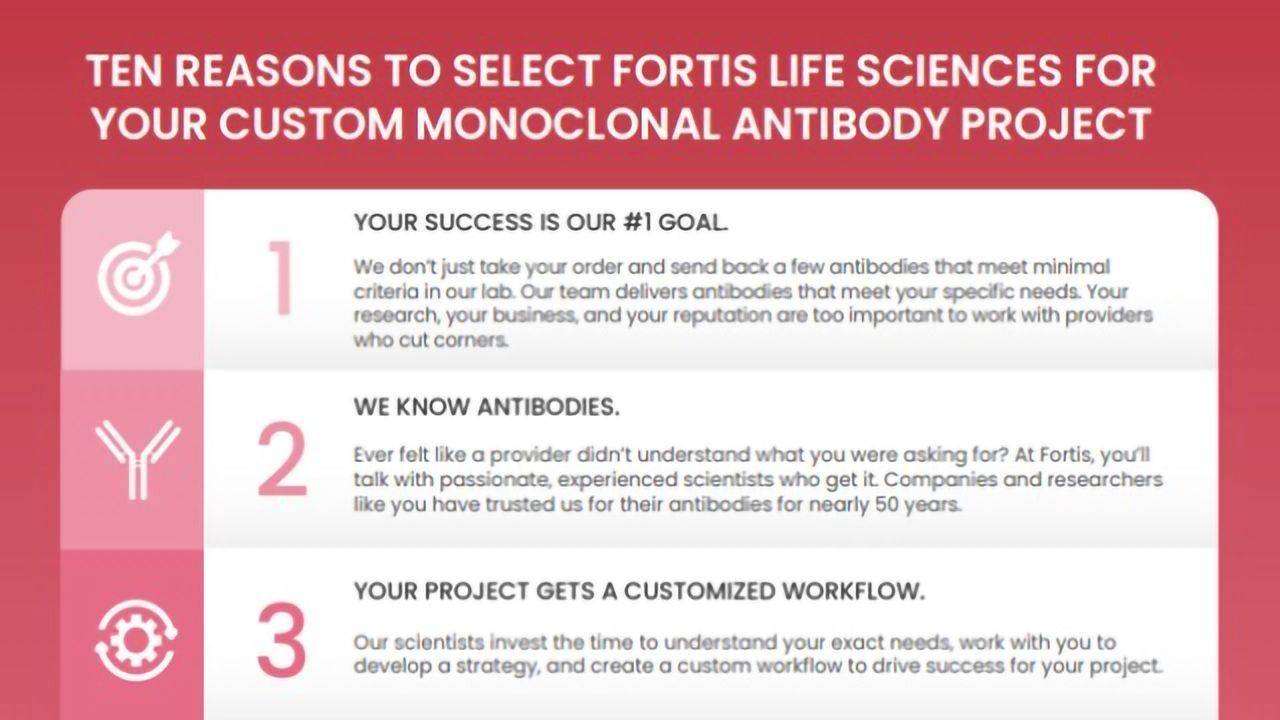 Your Custom Monoclonal Antibody Project