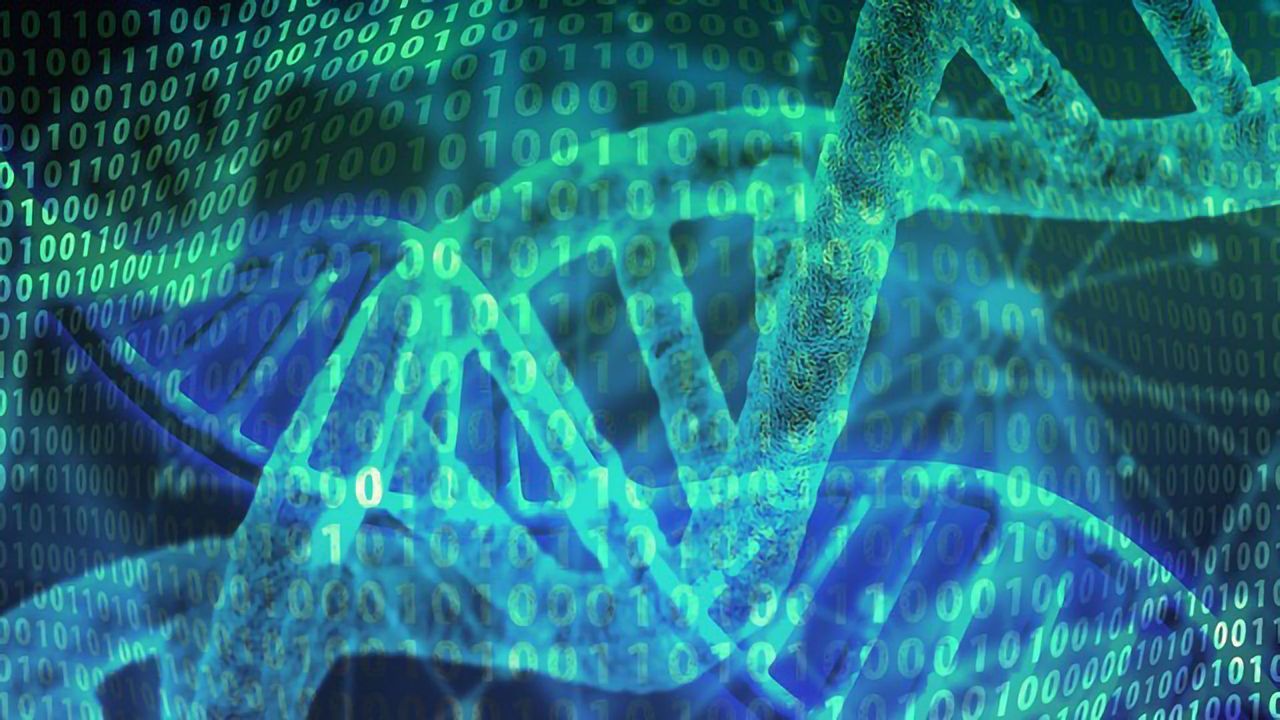 DNA Data Storage – Previewing Files Now Possible
