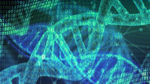 DNA Data Storage – Previewing Files Now Possible