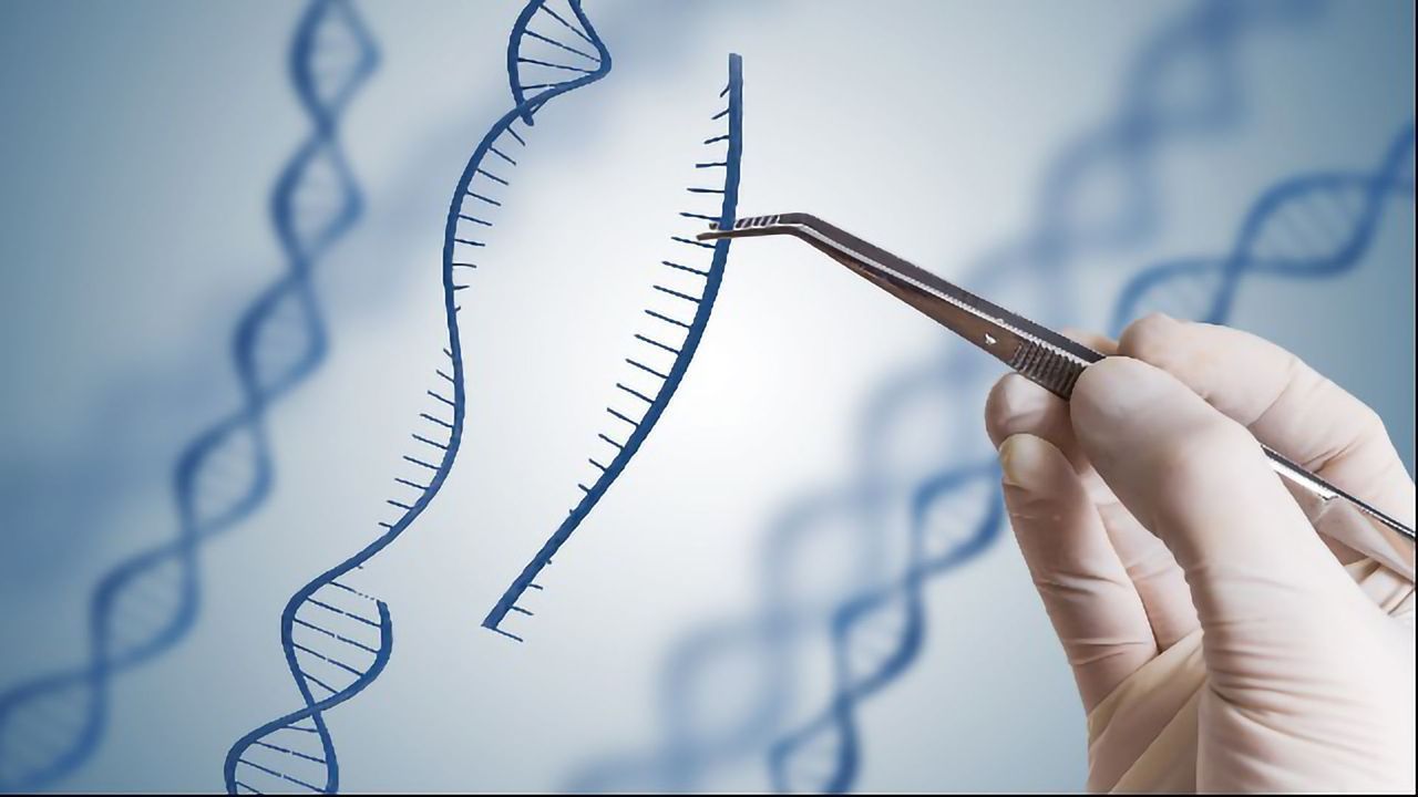 CRISPR Made More Precise by New Algorithm