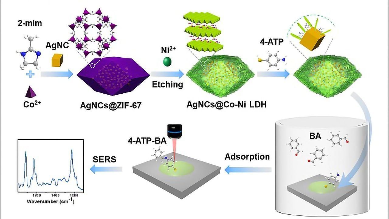 Aldehyde Gas Detection Aided by Novel SERS Sensor