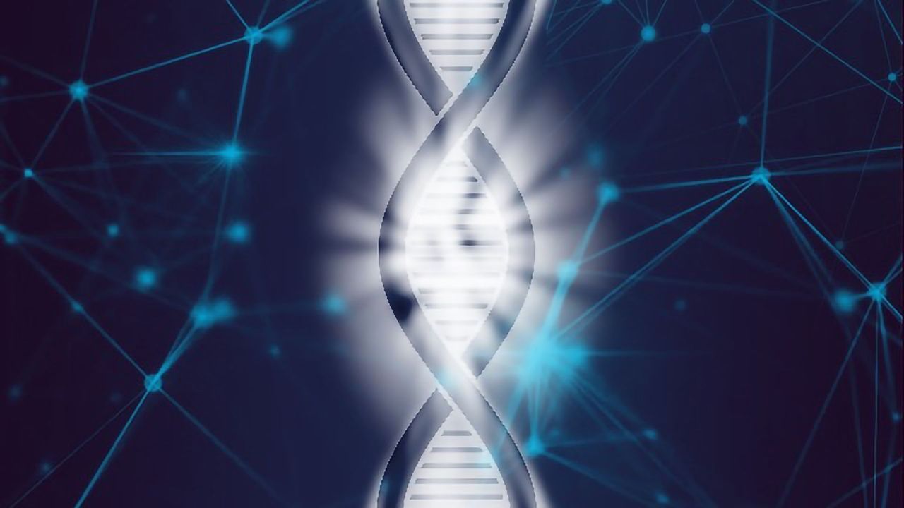 10x Genomics Unlocks Whole Transcriptome Analysis in FFPE Tissues With New Visium Assay