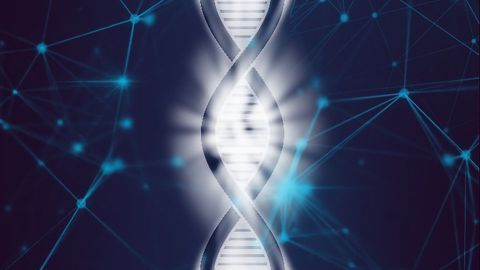 10x Genomics Unlocks Whole Transcriptome Analysis in FFPE Tissues With New Visium Assay 10x Genomics Unlocks Whole Transcriptome Analysis in FFPE Tissues With New Visium Assay