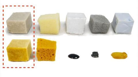Milk-Based Plastic Outperforms Traditional Plastics in Extreme Heat
