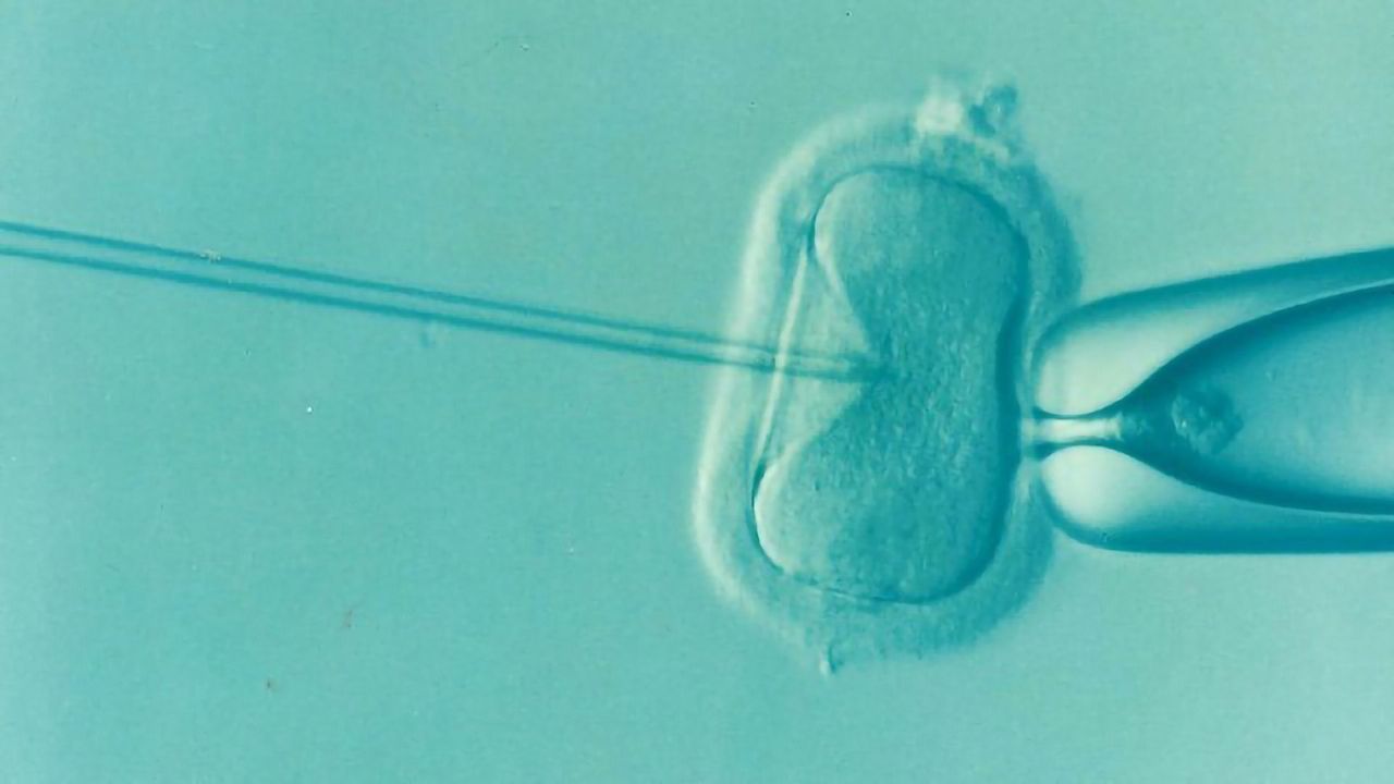 From Research to Entrepreneurship: How One Start-Up Is Working To Optimize IVF Success Rates