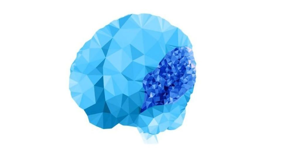 "Overfolded Brain" Condition Has Genetic Roots Revealed content piece image