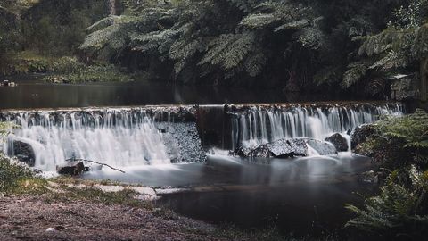 Fish From Toxic Water Pass Down Epigenetic Mutations to Freshwater Offspring
