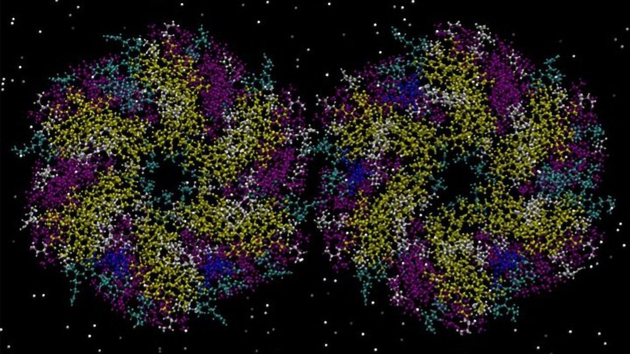 Protein Assembly