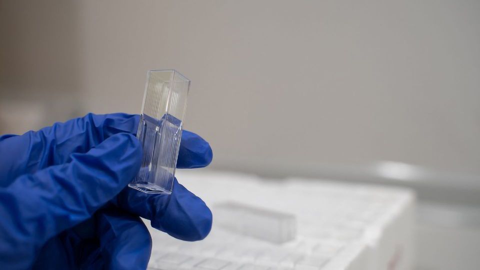 A gloved hand holding a cuvette. 