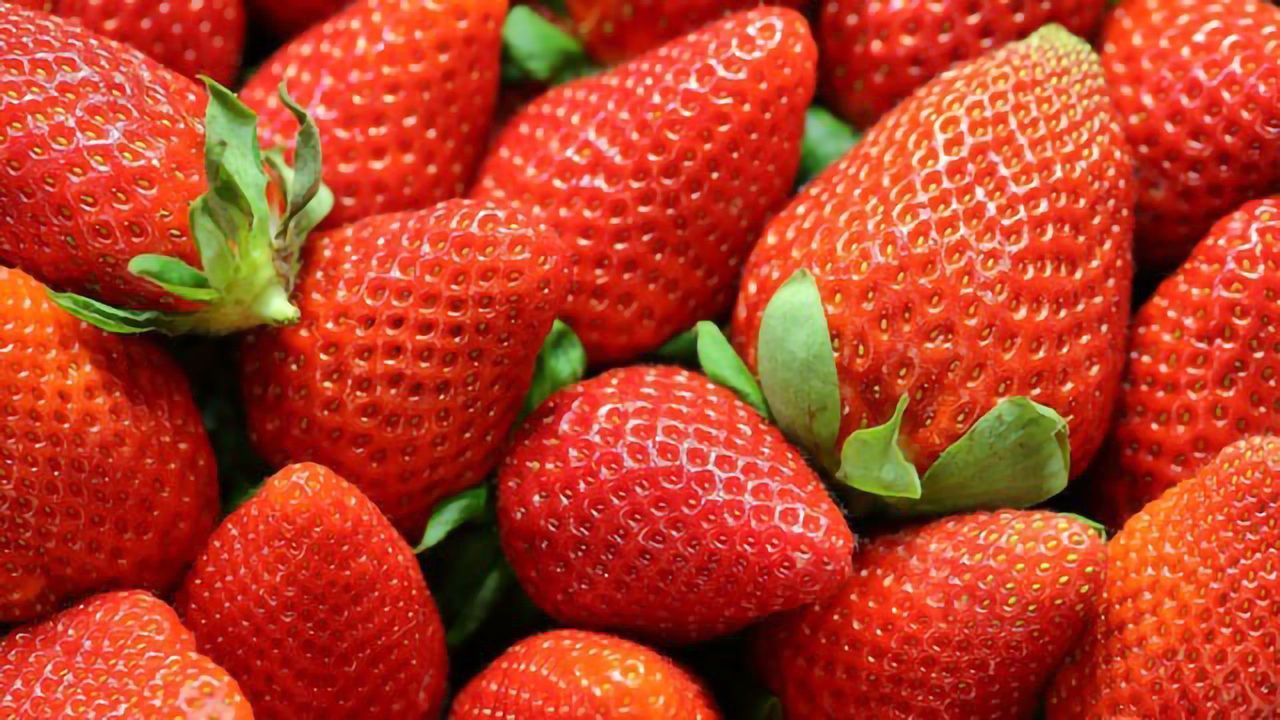 Bioactive Packaging Keeps Strawberries Fresh