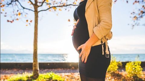 Persistent Toxic Chemicals Found in Fetal Organs
