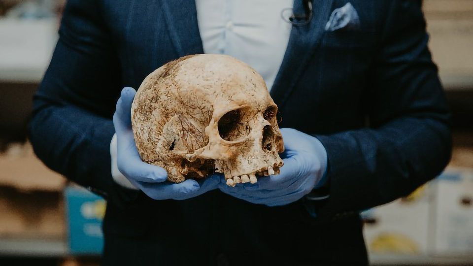 What a Decade of Ancient DNA Analysis Has Taught Us content piece image